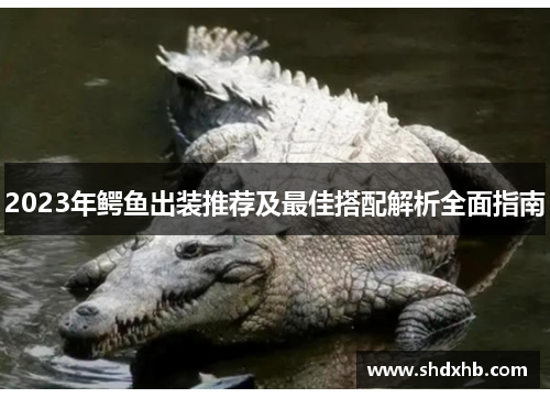 2023年鳄鱼出装推荐及最佳搭配解析全面指南