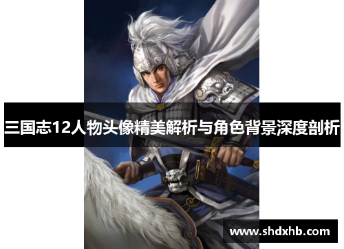 三国志12人物头像精美解析与角色背景深度剖析